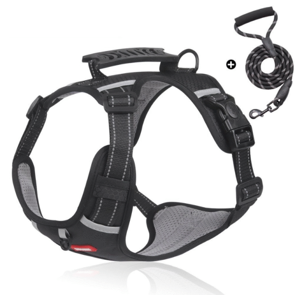 Harnais Sécurisé Réfléchissant Anti-traction + Laisse