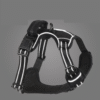Harnais pour chien anti-traction