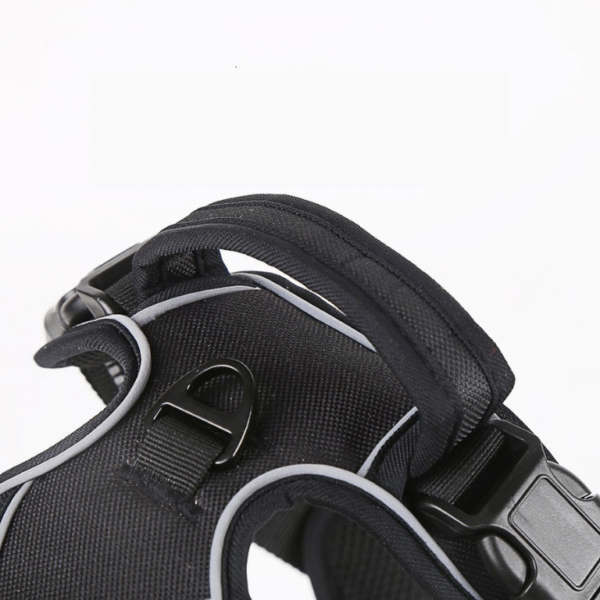 Harnais pour chien anti-traction