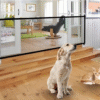 Barrière de sécurité pliable pour animaux