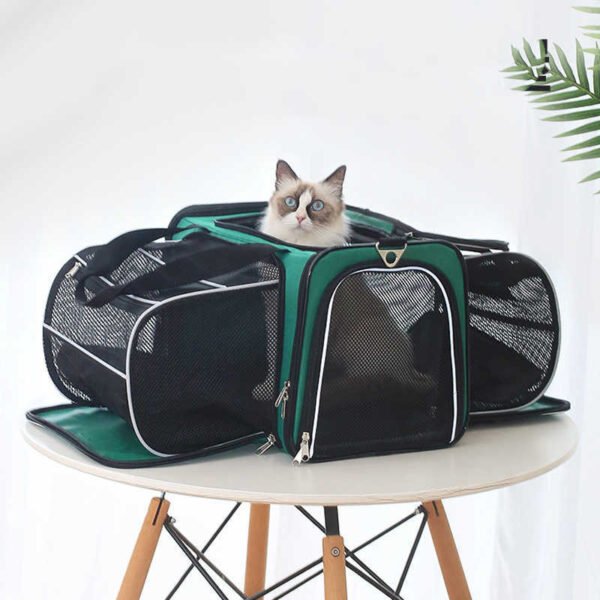 Sac Capsule pour Animaux – Confort, Sécurité et Style Futuriste