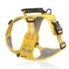 Harnais Sécurisé Réfléchissant Anti-traction + Laisse