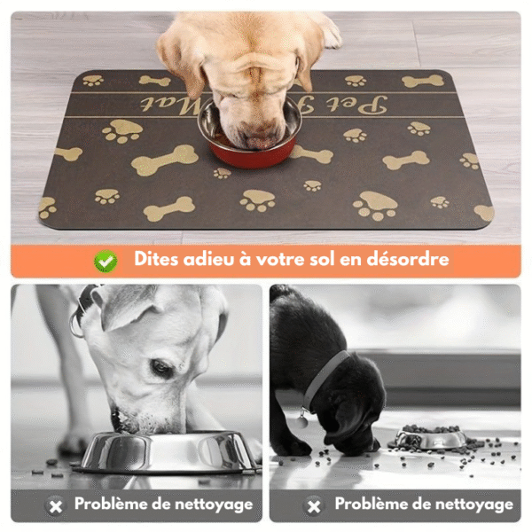 Tapis absorbant pour animaux