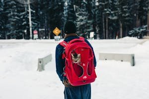 A traveler in Banff, Canada carries a cat in a red backpack through a snowy landscape.